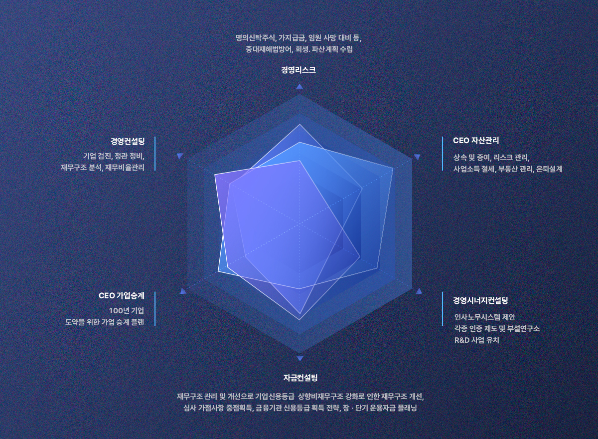 기업성장 도식화