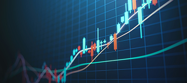 금융/세무상 불이익